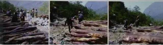 2019Աǻ̴ָ82죬ޱ201812µչѪ