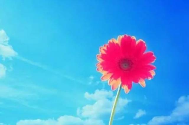 你无法决定明天是晴是雨,但你能决定今天有没