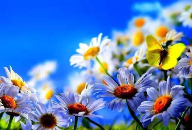 你无法决定明天是晴是雨,但你能决定今天有没