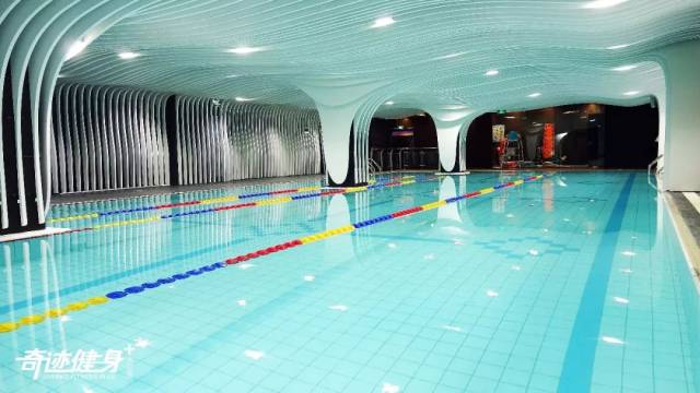 奇迹健身创始人高鹏：稳于行 精于质 水至清则无