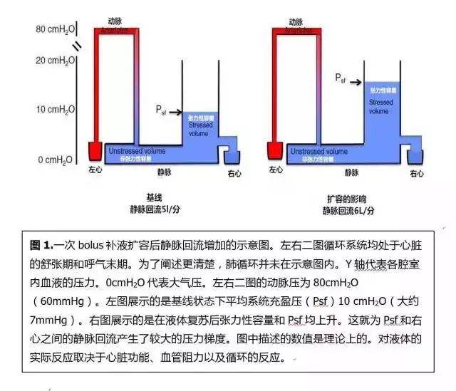 认识静脉回流