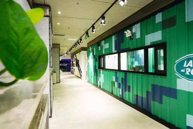 奇迹健身创始人高鹏：稳于行 精于质 水至清则无