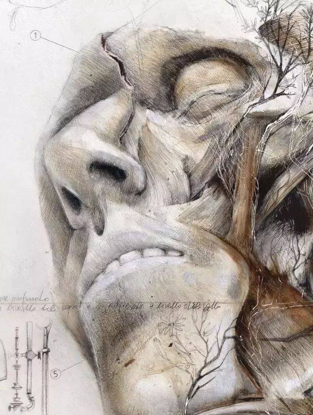 nunzio paci| 人体解构插画设计