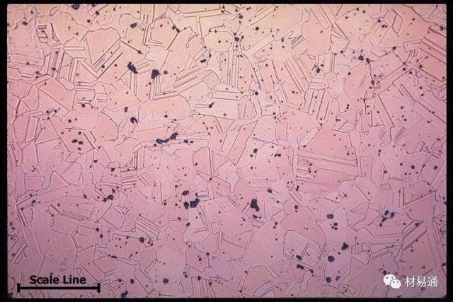 铜及铜合金的金相图谱你见过么,130张高清图片来袭!