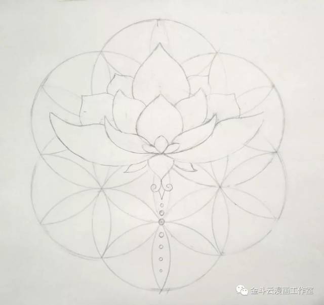 美丽的莲花1.24金斗云线描小课堂