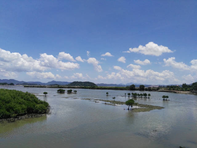 来到惠州稔山镇,让我们去洲湿地和公背水库走走吧