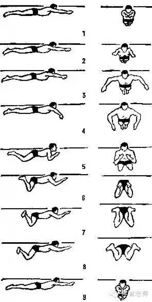 蛙泳动作要领图解(含口诀)