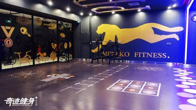 奇迹健身创始人高鹏：稳于行 精于质 水至清则无