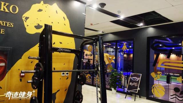 奇迹健身创始人高鹏：稳于行 精于质 水至清则无