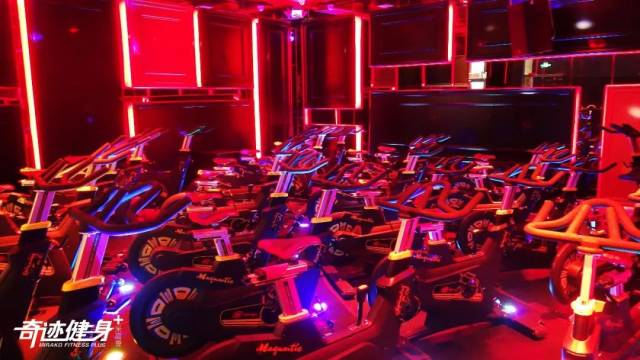 奇迹健身创始人高鹏：稳于行 精于质 水至清则无