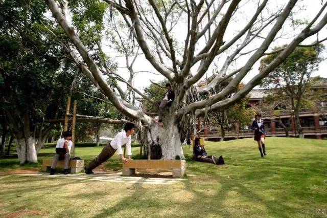 厦大又火了!校草端木磊“刷脸”被拒!万千网友笑泪:那
