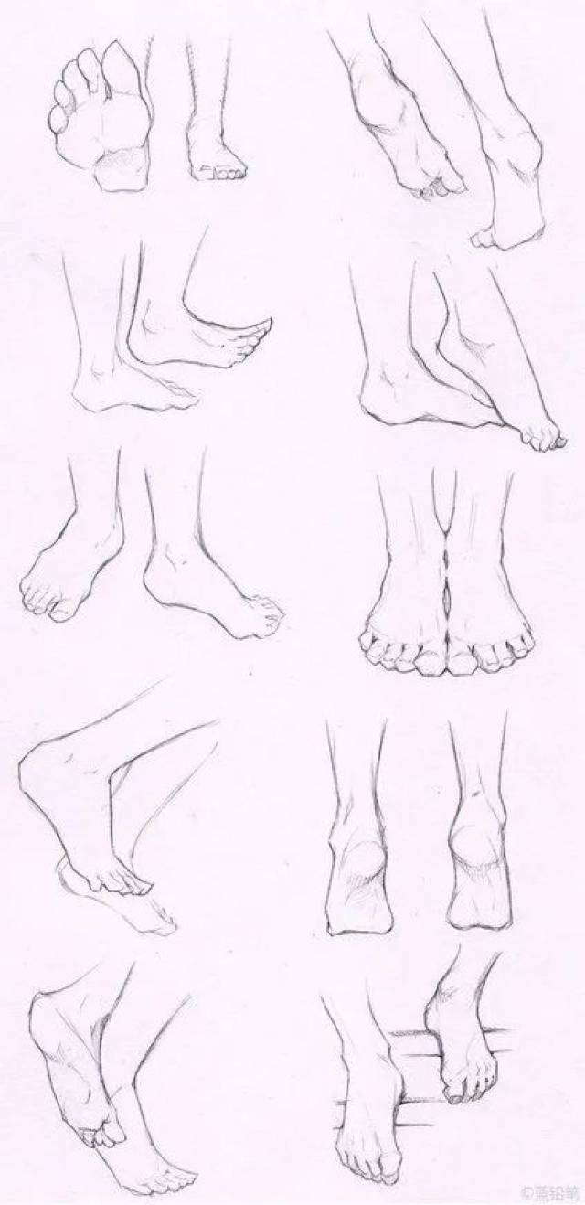 本期带来详细的讲解过程哦 首先看看脚部比例的画法 来自画师amagi