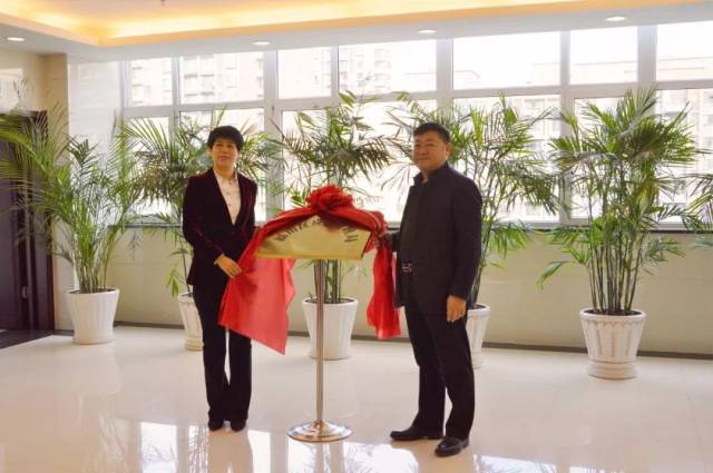 福山区应急管理局挂牌成立,副区长周红梅出席揭牌仪式.