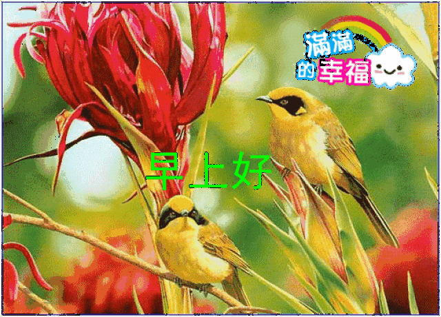 2019最新漂亮早晨好问候表情动画图片 2019猪年早晨好动态图