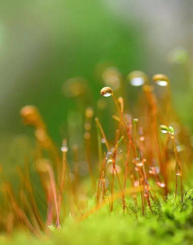 在寻常生活的声响和味道里,生出各种人生的感悟和心情,有一种美好的