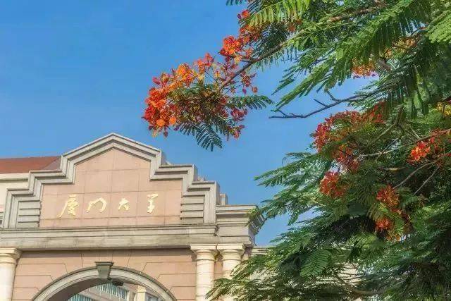 厦大又火了!校草端木磊“刷脸”被拒!万千网友笑泪:那