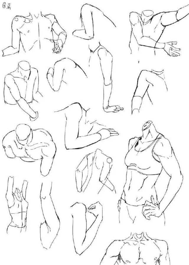 小央美:绘画素材 | 人体手肘,胳膊,肩膀的线稿,绘画参考