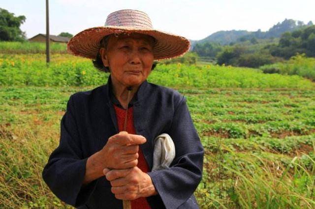 真实农村现状70岁老人要下地干活60岁老人外出打工真是奇怪