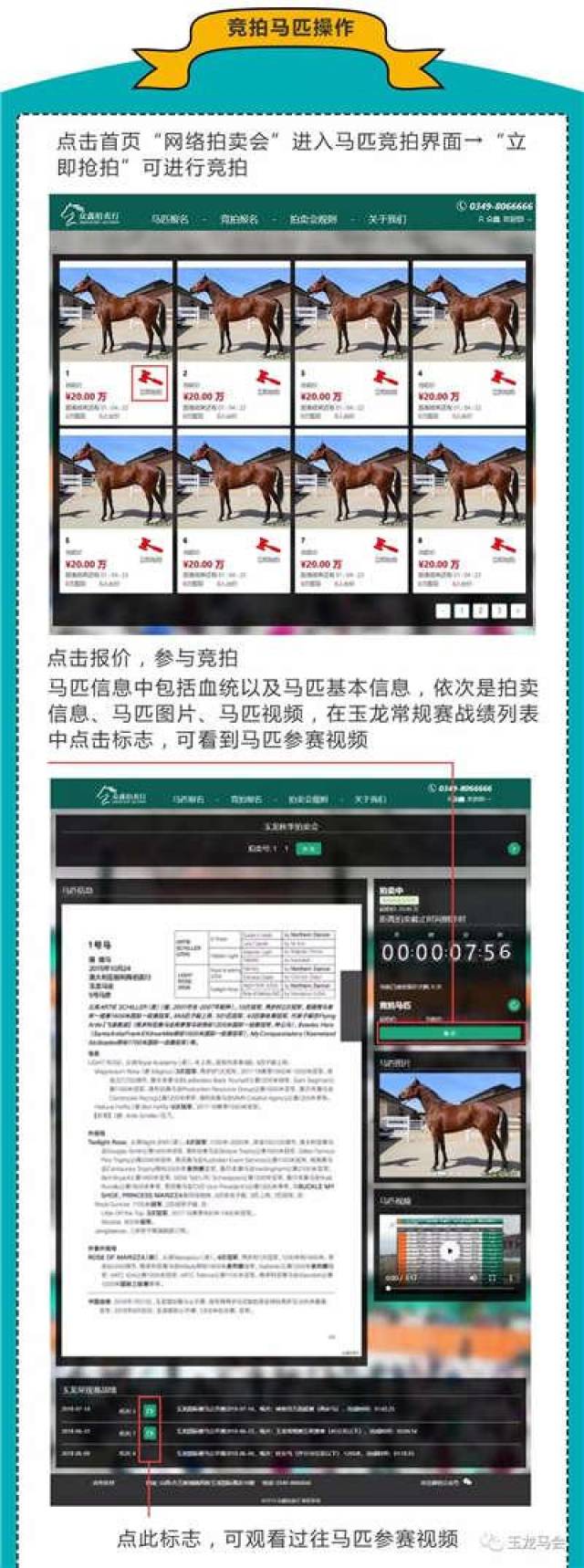 网上也能买马?3分钟教你如何用电脑在网上进行马匹交易!