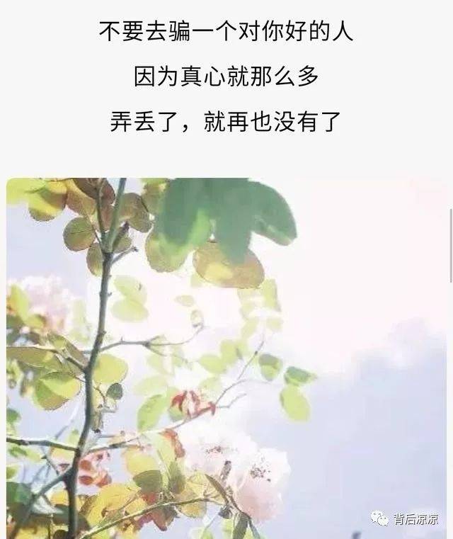 不要去欺骗一个对你好的人(句句入心)