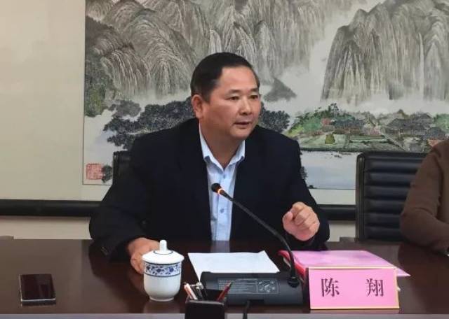 玉林市旅游发展委员会主任陈翔在会上汇报2019年春节黄金周全市旅游