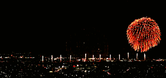 489_229