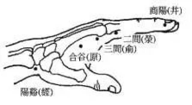 二间穴位位置图微握拳,二间穴位于当手食指本节(第2掌指关节)前桡侧