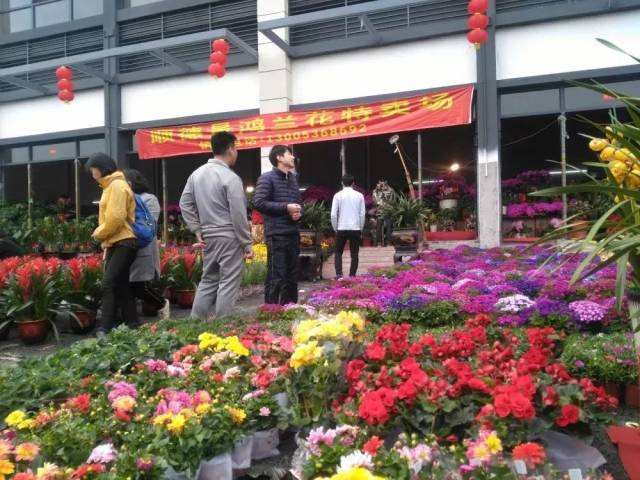 韶关市年货节暨迎春花市开幕啦!精彩亮点看这里