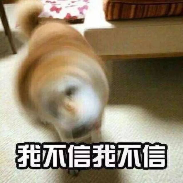 沙雕表情包:实力拒绝!摇头到模糊的表情包
