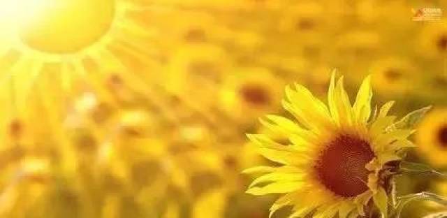 【关注】2019年1月27日 第66届“世界防治麻风病日