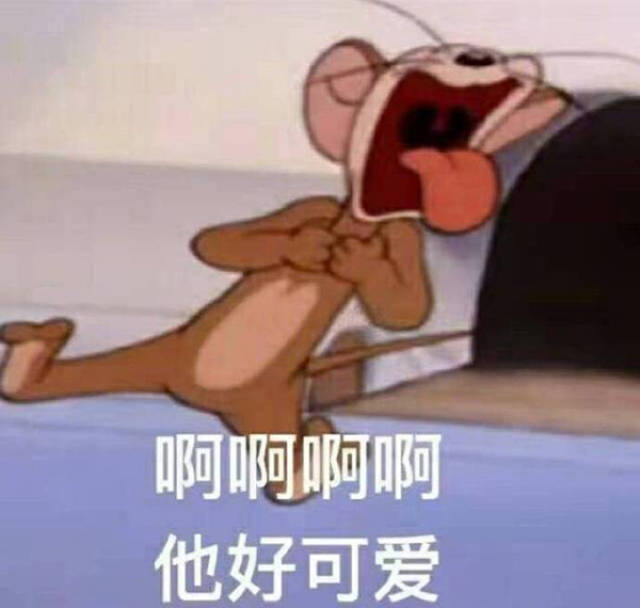 猫和老鼠表情包精选:单身冠军就是我