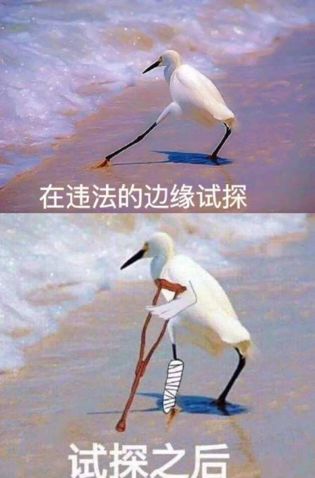 不要在违法的边缘试探!