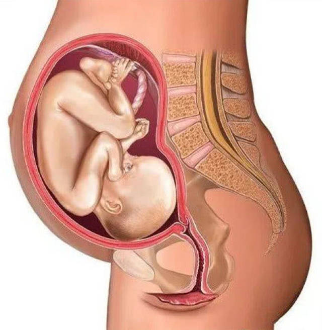 顺产到底有多疼?看到第3张图,也许你会明白