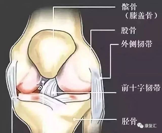 【康复训练】要不要?详解髌骨软化症,再给你一组日常训练