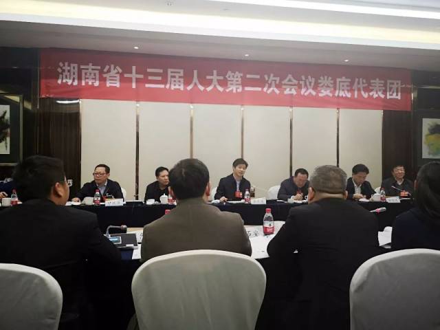 贺军民在湖南省第十三届人大第二次会议娄底代