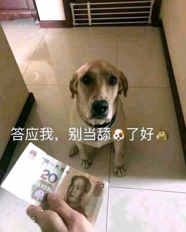 搞笑表情包:舔狗的艰难,请不要在拆穿