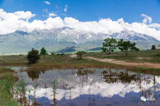 焦点访谈:GF健康养生酒店助力云南康养旅游发展!