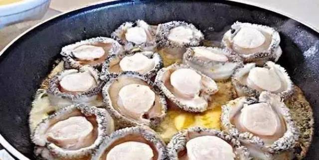 南非鲍鱼丨世界最贵海鲜之一,难得一寻的人间