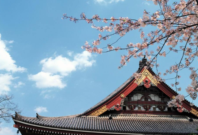 日本艺术留学你需要掌握这些申请条件
