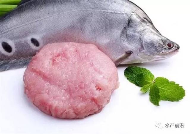 又一条新品“暴富鱼”来了?!养生鱼从豪赚到巨亏,他迅速转养了