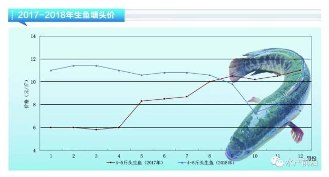 又一条新品“暴富鱼”来了?!养生鱼从豪赚到巨亏,他迅速转养了