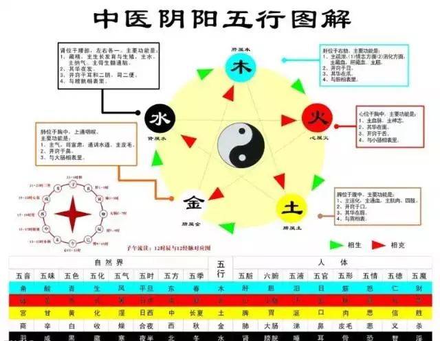 五行与五脏,五味,五行食物对照表