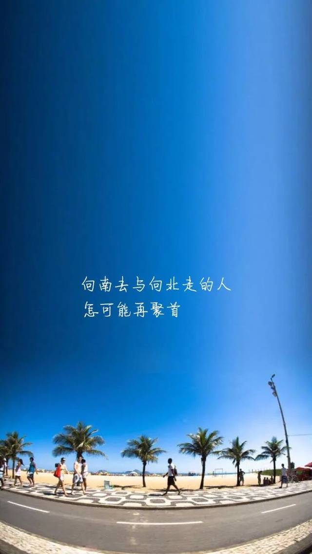 喂不胖的钱包 买不起的貂,半辈子就挣了两个亿,一个失忆 一个回忆