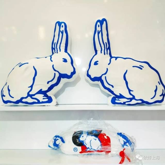 巨可爱的大白兔抱枕, 有兔子形状,还有糖果形状.
