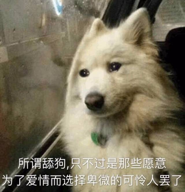 搞笑表情包:舔狗的艰难,请不要在拆穿