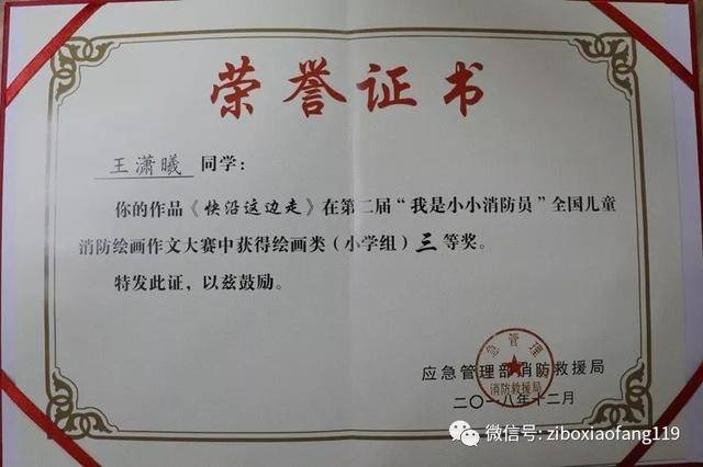 市两名学生喜获第二届"我是小小消防员"全国儿童消防绘画作文大赛奖项