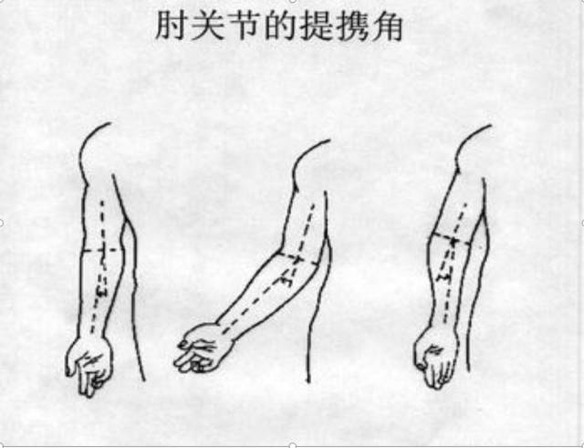 在男性成10°-15°角;在女性称20°-25°角,此角称为提携角