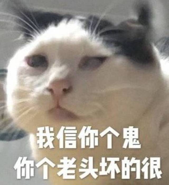 图源网络