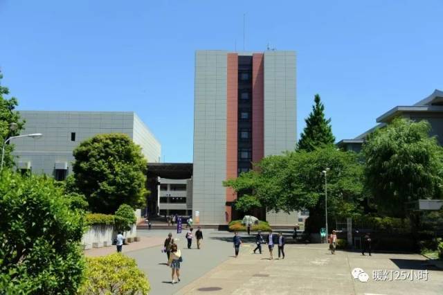 驹泽大学