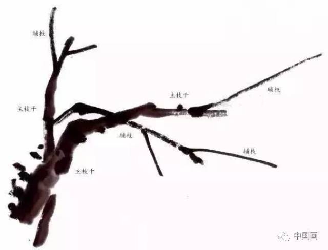 【国画知识】梅花画法,经典实用!(吴昌硕齐白石画梅法